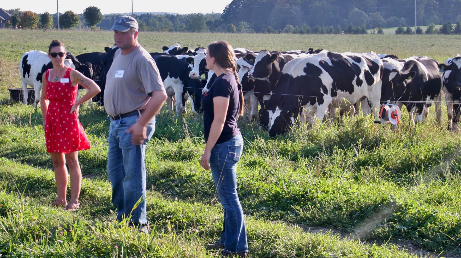 Grazing project at the UW-Marshfield Agriculture Research Station